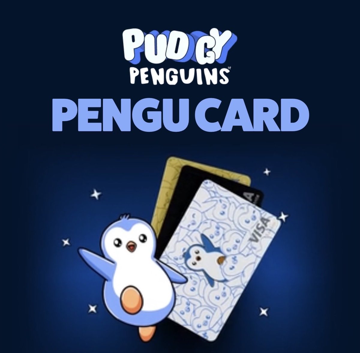 ndcollection tweet media