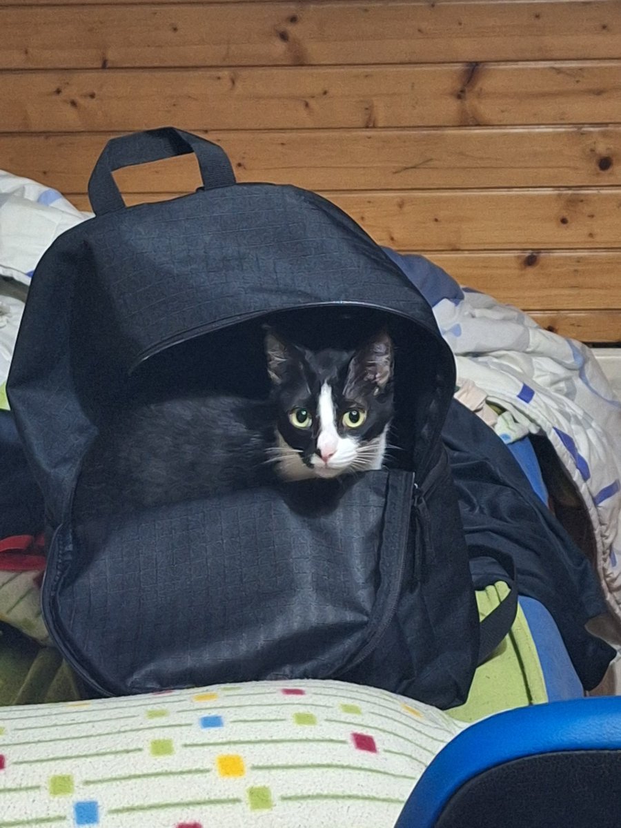 She asked when do we arrive london