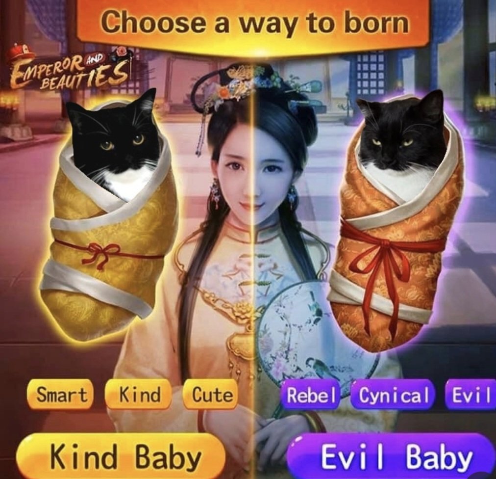 idyologie 🫧 (@idyologie) on Twitter photo 