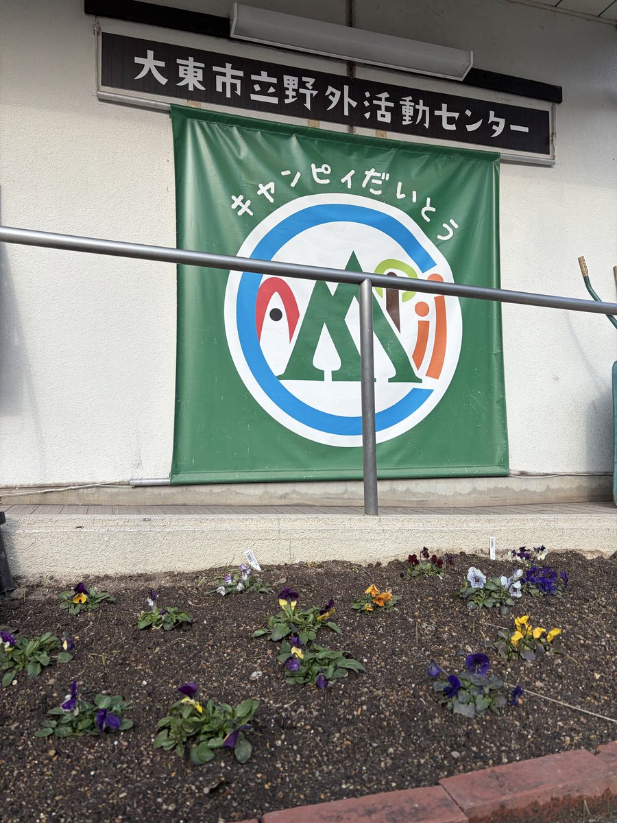 madam5165's tweet photo. 今日は暖かい日差しも気持ち良くてキャンプ日和〜スミレちゃんも今日は嬉しいはず。バレンタインも近いしチョコ代わりに栄養あげるね〜💕みなさま良い1日を😊
#良い天気　#スミレ　#気温　#そら豆　#植物　#自然　#キャンプ https://t.co/pdQgqbU61x