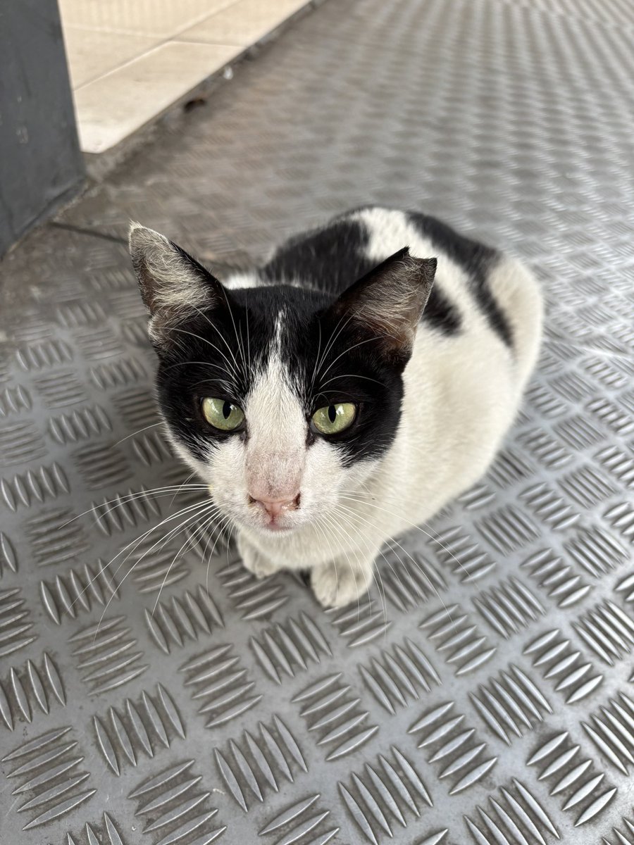 ketemu roti buntel pagi ini