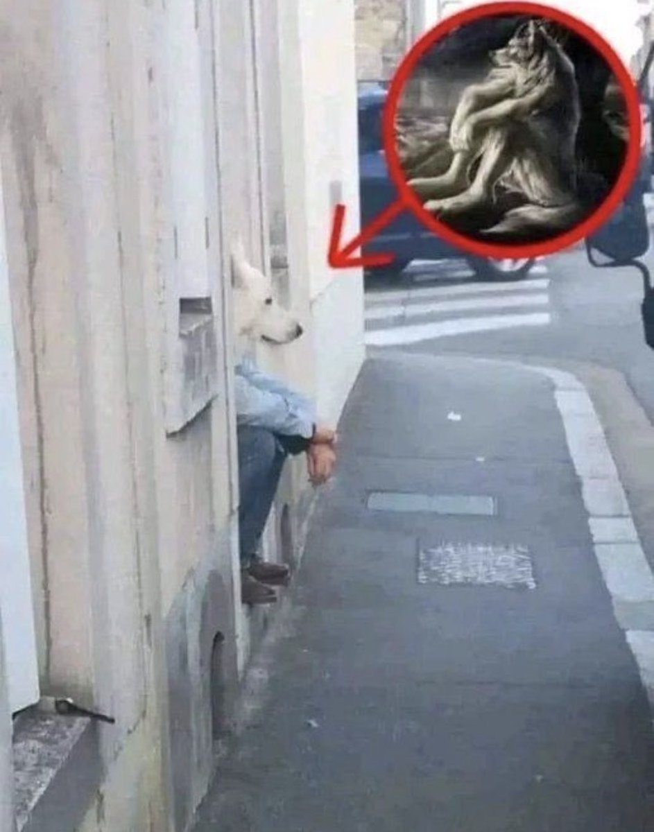 Respectful Memes (@respectfulmemes) on Twitter photo 