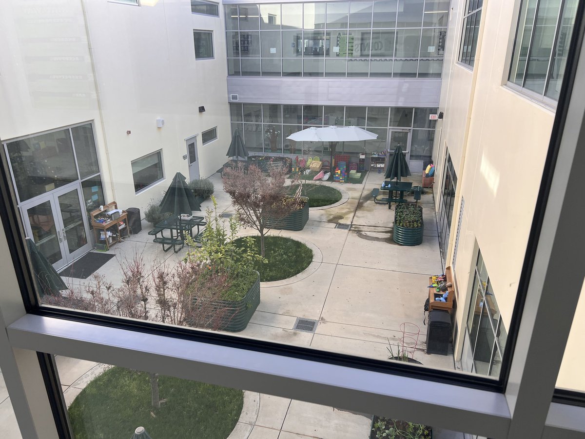 David Shimer tweet media