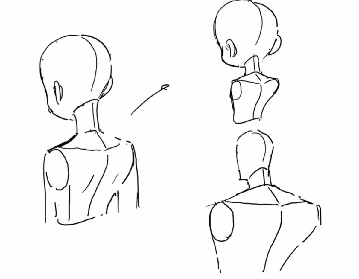 PrivateAnime's tweet photo. Let's remember the basic body! !
Once you memorize the basic shape, you can quickly complete the character by adding hair and clothes, and you can actually apply the same silhouette to the back as well. https://t.co/pmmr2IPPIm