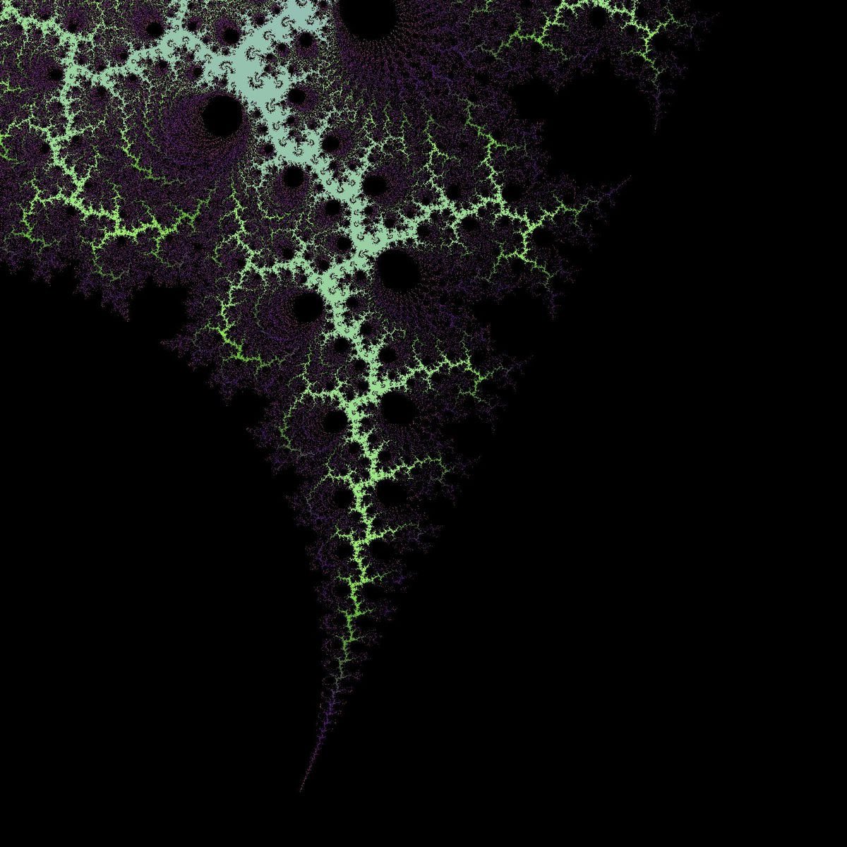 Ven (@venerate__) on Twitter photo 
