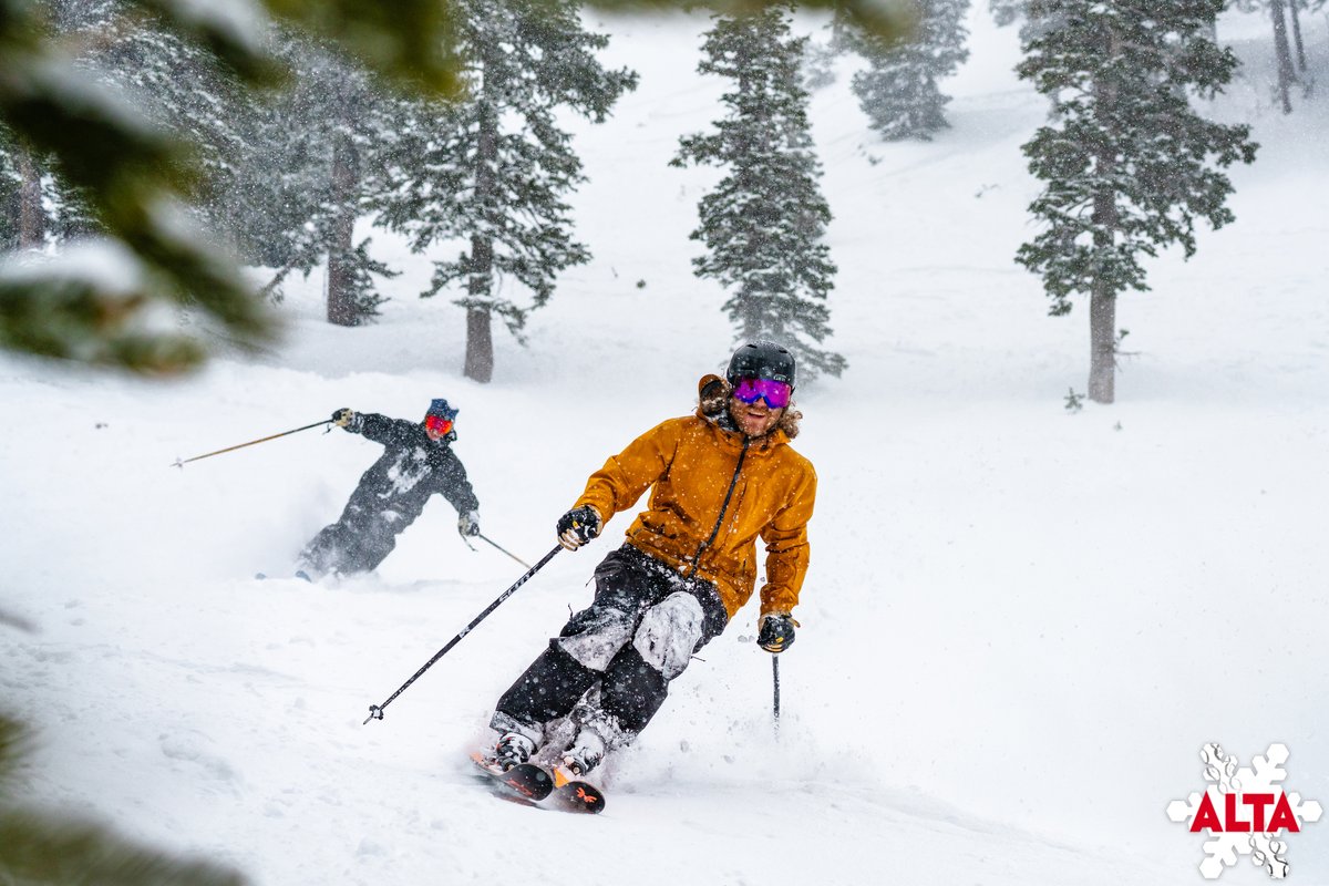 AltaSkiArea's tweet photo. Photo of the Day | 2.11.2026

Back to our regularly scheduled programming—powder skiing with friends.

⛷️: Leo Schor &amp; Jon White
📸: Tyler Struss

https://t.co/MRJ6yODizO https://t.co/L2zFTzkgFG