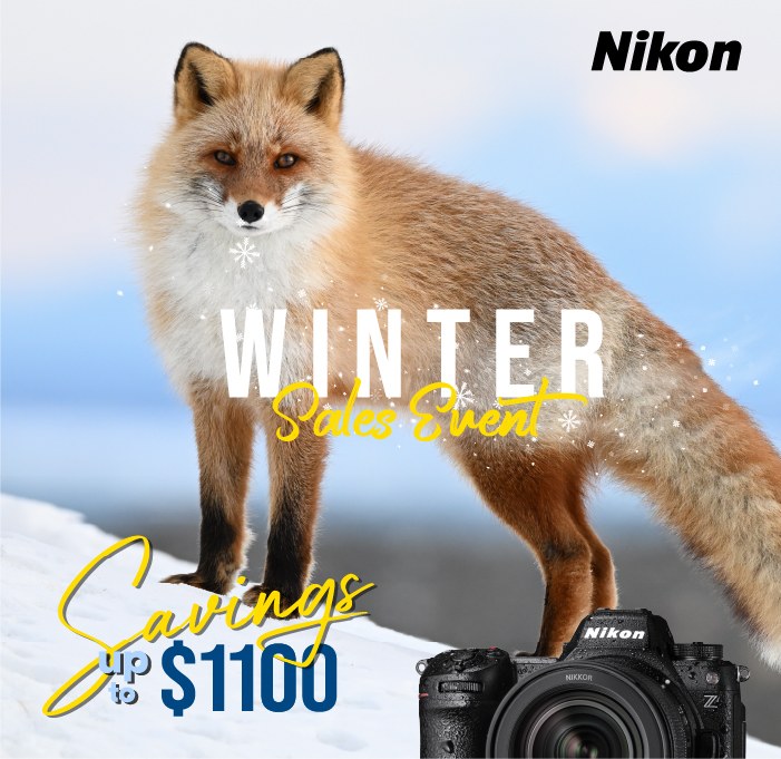 Kerrisdale Cameras tweet media