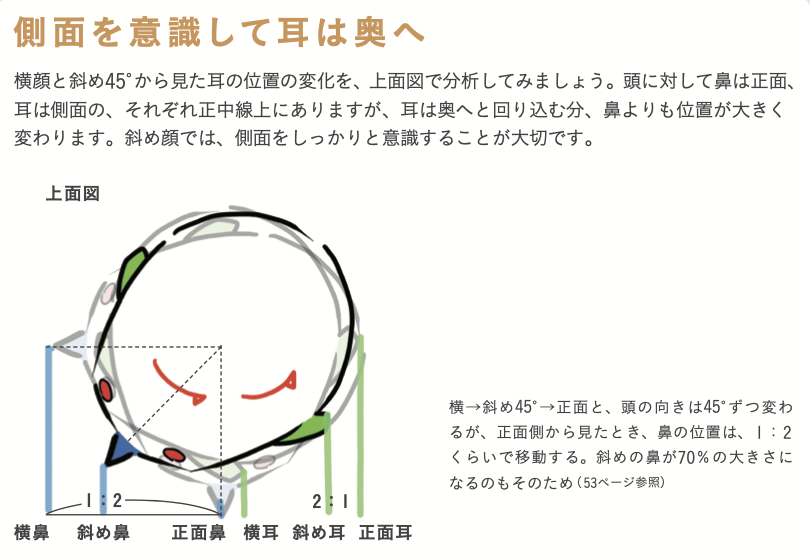 斜め顔のNGあるある!!
「耳の位置が目に近すぎ」
頭の回転を意識すると斜め45の時に目と耳が最大に離れて見える。 