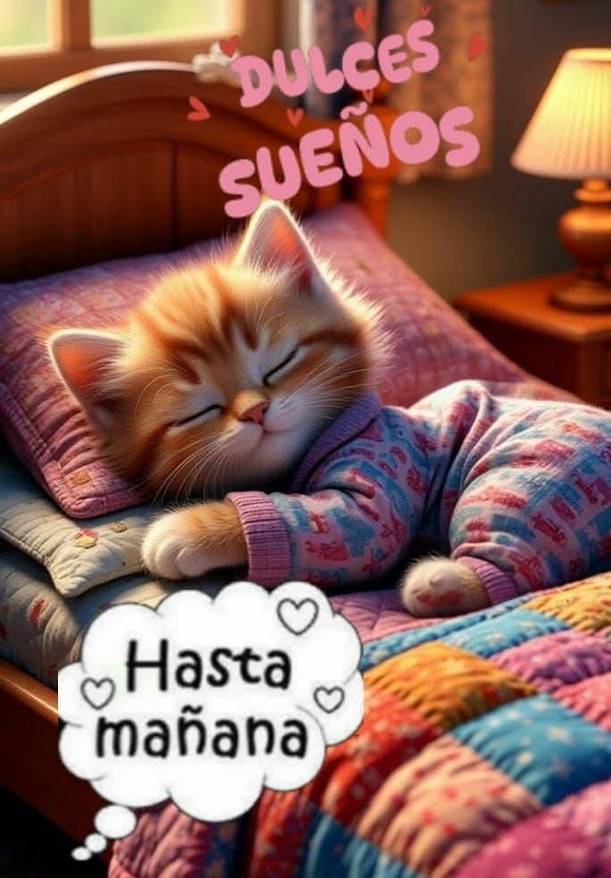 Buenas  noches
 🌜💫🌟⭐️