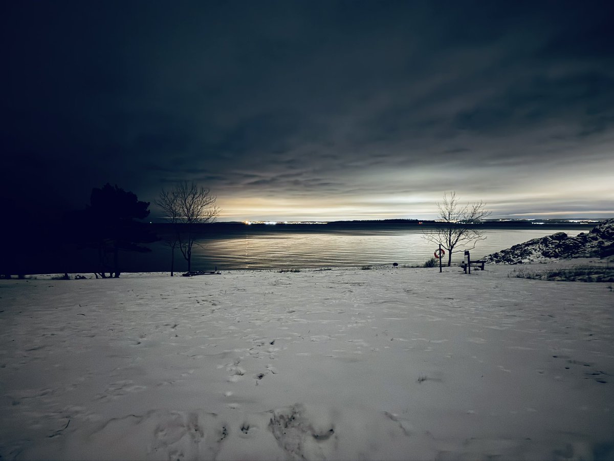 David Sandum tweet media