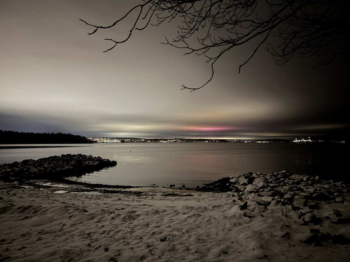 David Sandum tweet media