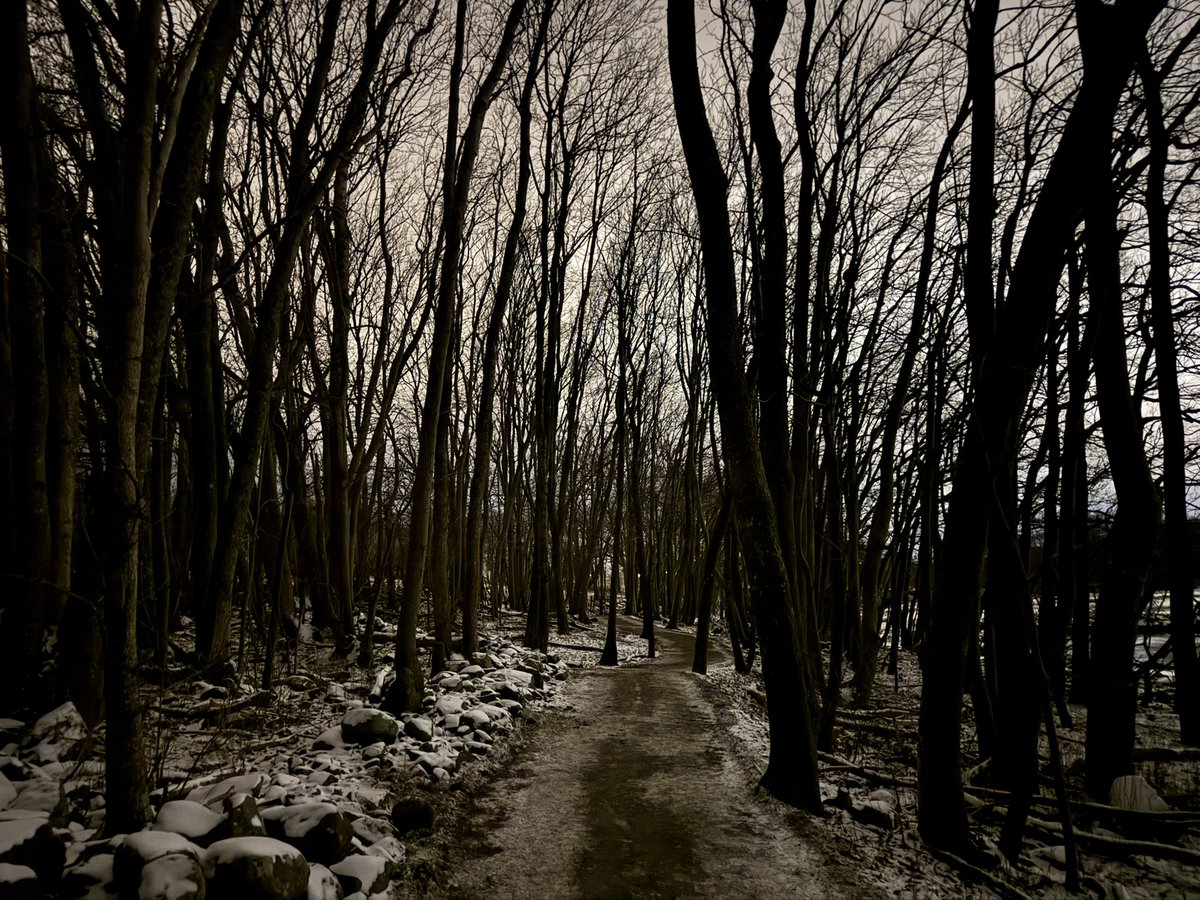 David Sandum tweet media