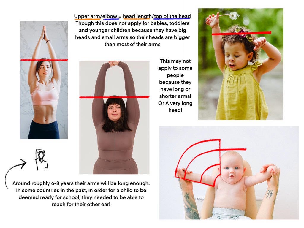 🌈⭐Diana TS is sleepy☀️🌈 tweet media