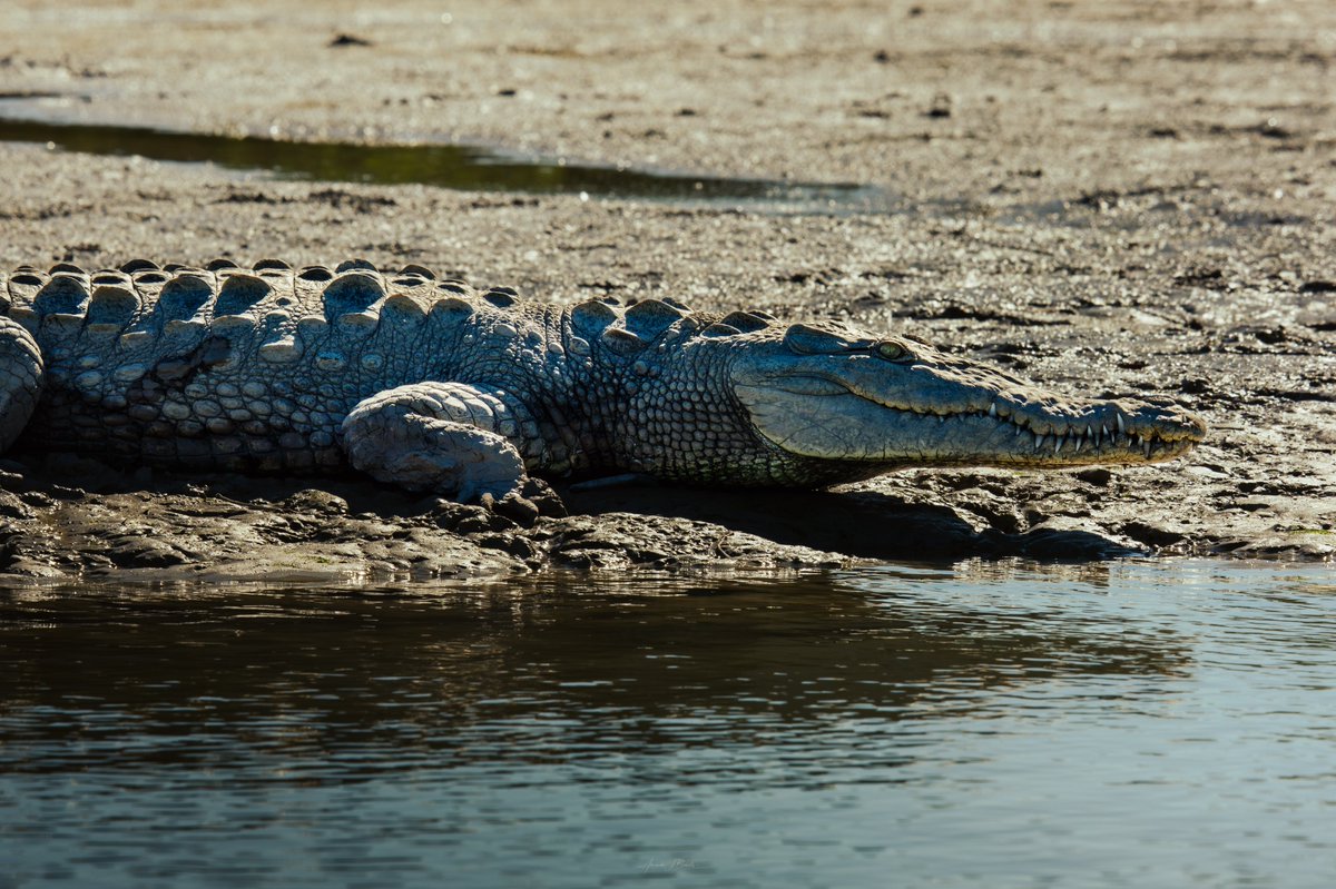 XANDER GEOGRAPHIC 🏕️ tweet media