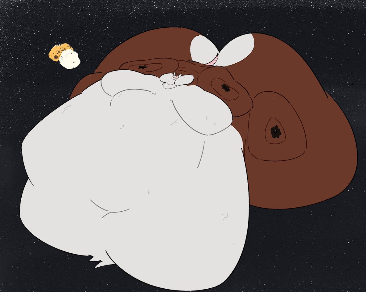 FoxBoi001's tweet image. electric boogaloo