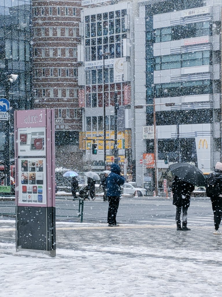 r42156008's tweet photo. A snowy transformation in Tokyo. ❄️🏙️
Even the familiar streets of Meguro look like a scene from a movie today. There’s something special about seeing the city pause under a blanket of white. Stay warm, everyone! ☕🧣
#Tokyo #SnowDay #WinterInTokyo https://t.co/PDuAvgJrIn