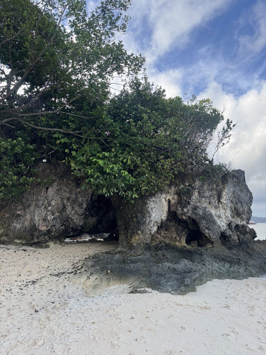 Simon Shetty tweet media