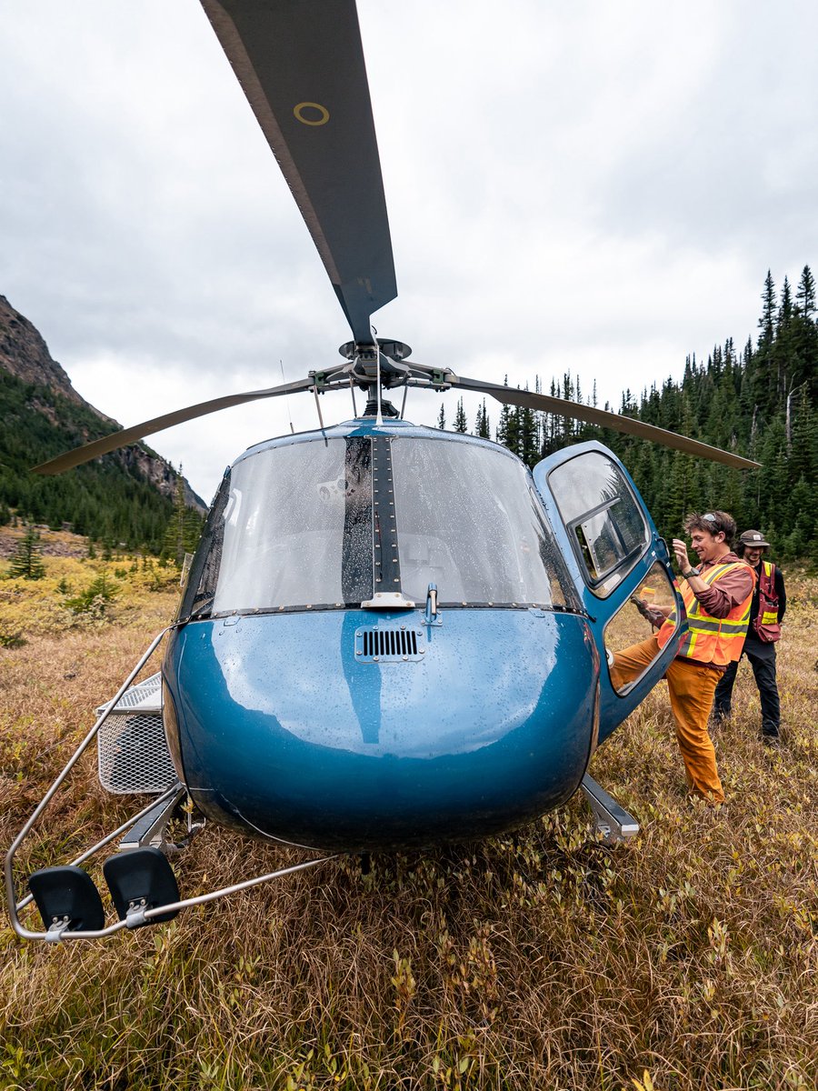 Scott Walters tweet media