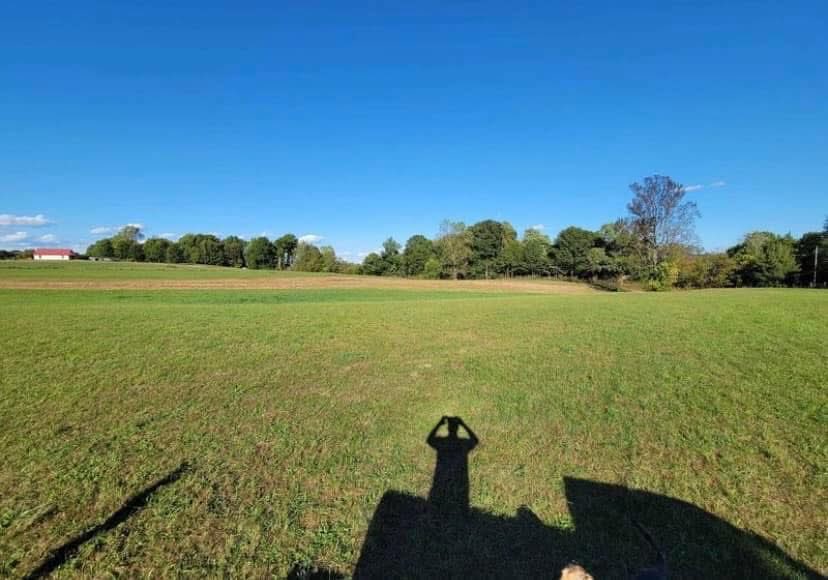 APitcherr's tweet photo. Big congrats to my family on our new 6.25 acres! 🌳 Thinking of a rec facility, farmland, or housing or just holding for the long-term gain. 📈 Huge thanks to @MCynthialummis, crypto automation made this possible. Truly grateful for this milestone! 🙏✨ https://t.co/0XvCqIWjDC