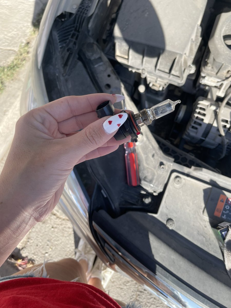 Renata Villarreal tweet media