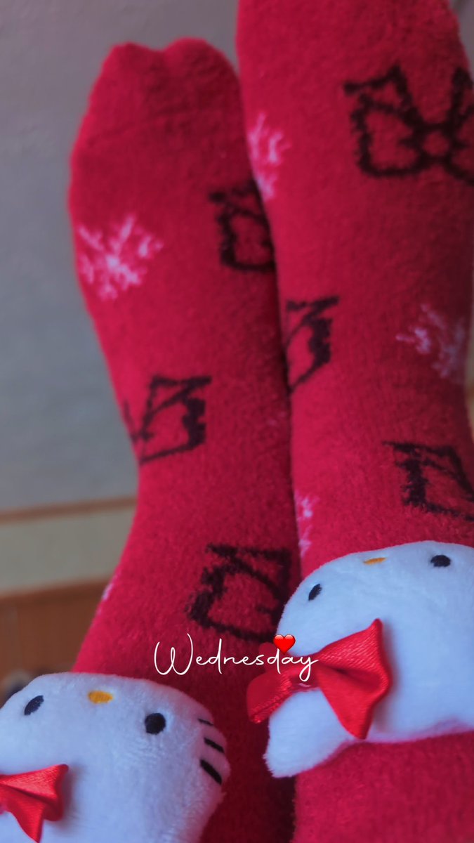 _Kate123abc_'s tweet photo. 😻🎀

#FuzzySocks #HelloKitty https://t.co/4AmTz4F1rY