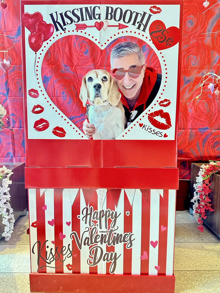 Miles the Beagle tweet media