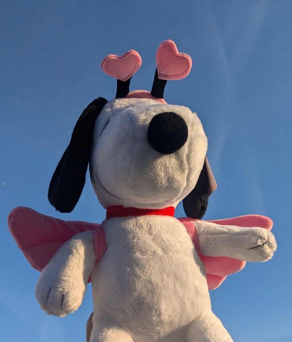 Daily Snoopy (@dailysnoopys) on Twitter photo 