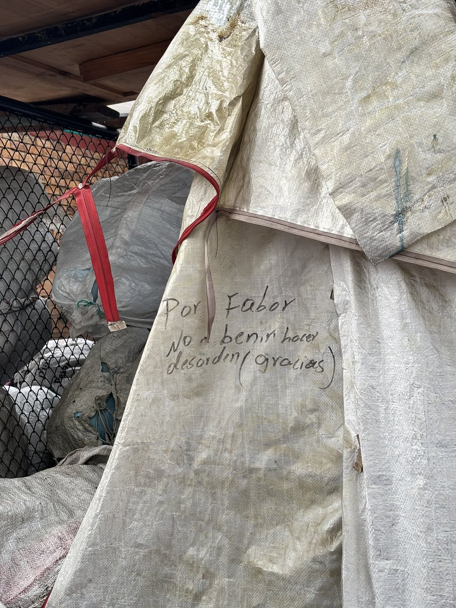 como la primavera tweet media