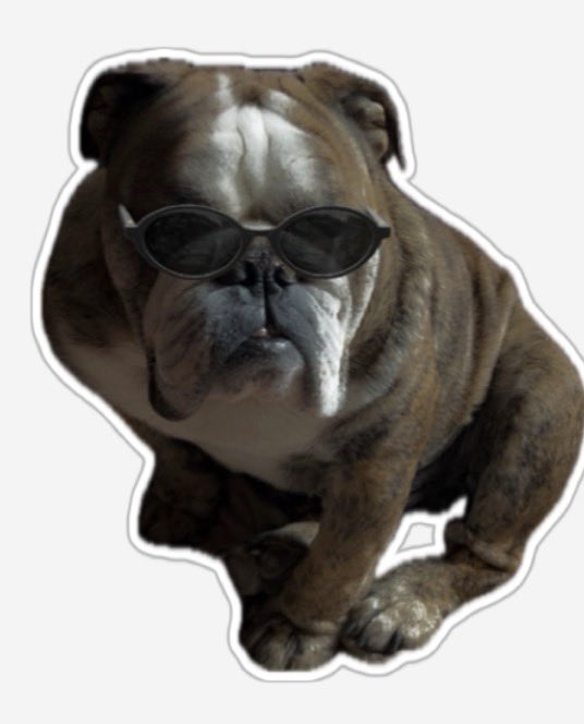 #Therian un veterinario de misiones ofrece castracion gratis , otro de Córdoba vacuna antirrábica, mi amiga la Pepa tbm de Córdoba  , fue más contundente , EUTANASIA gratis