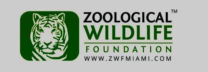 Solana Dailys tweet media