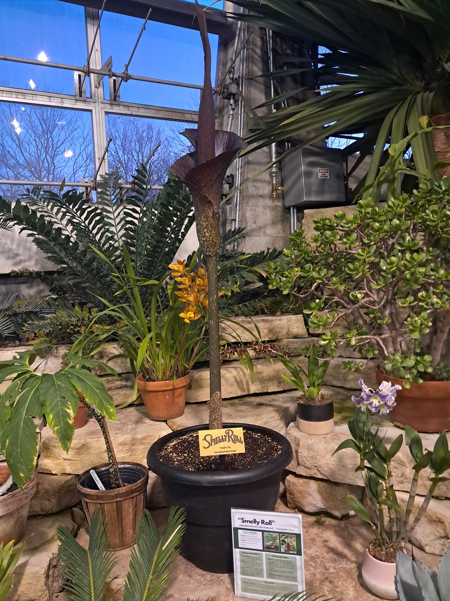 Daniel Andersen tweet media