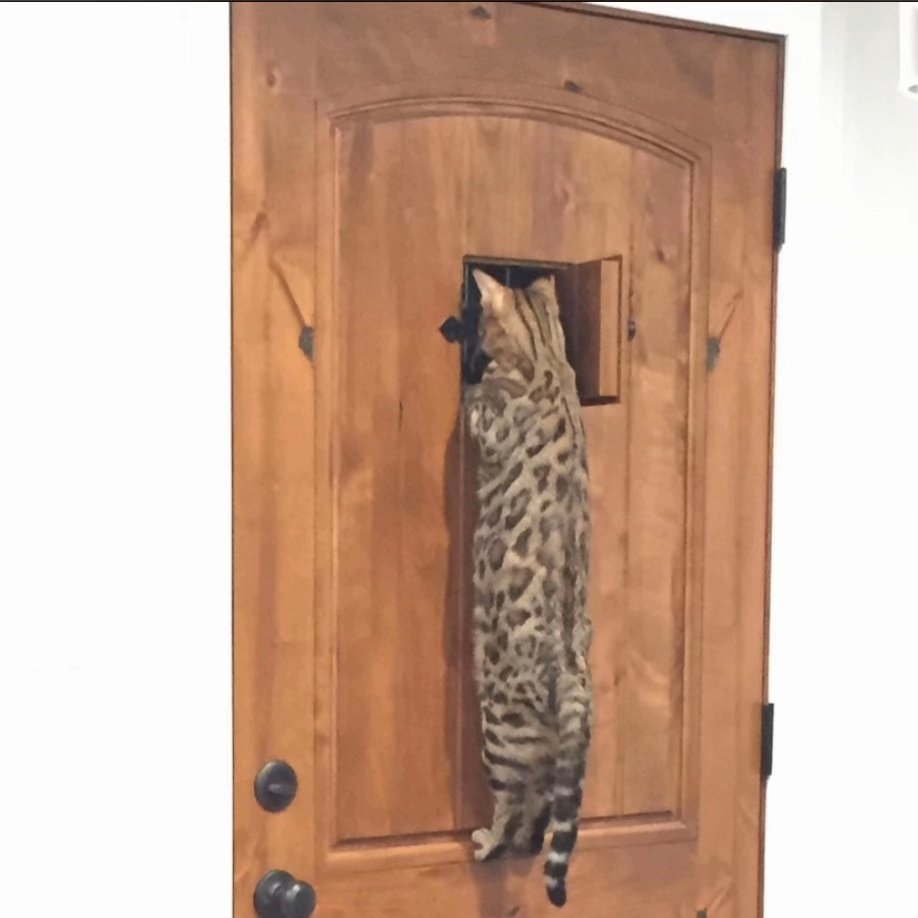 Mi vibra hoy pq dónde me estoy quedando hay unas vistazas