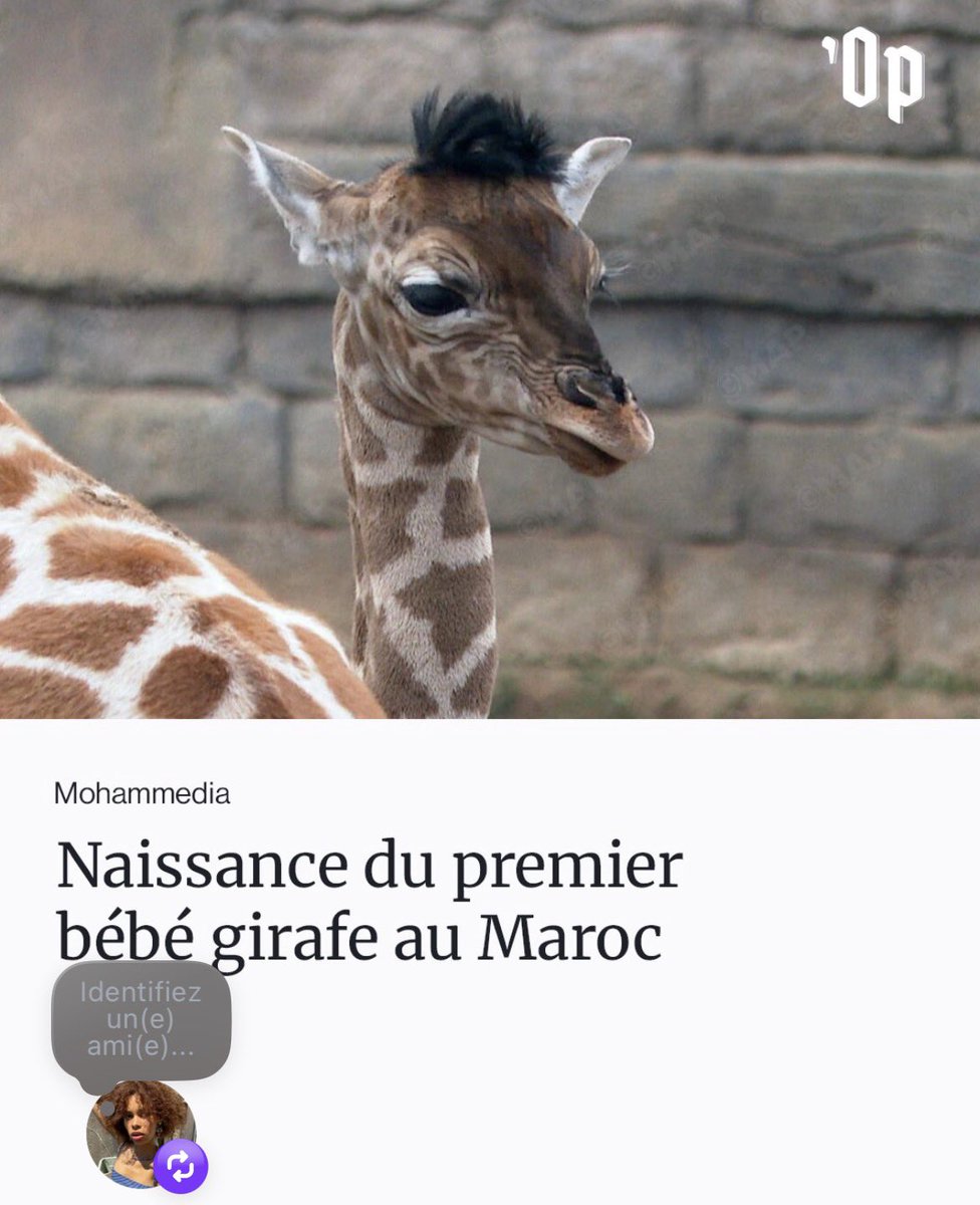 Jsuis pas sûre de la coupe