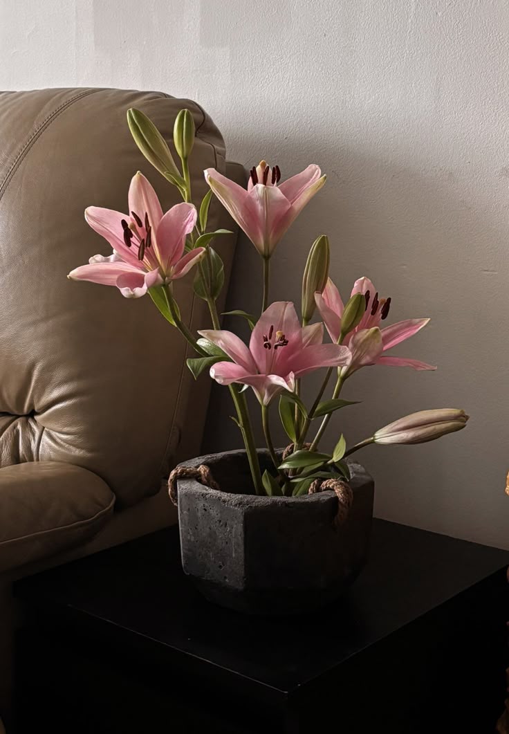 phoolonkidukaan's tweet image. 