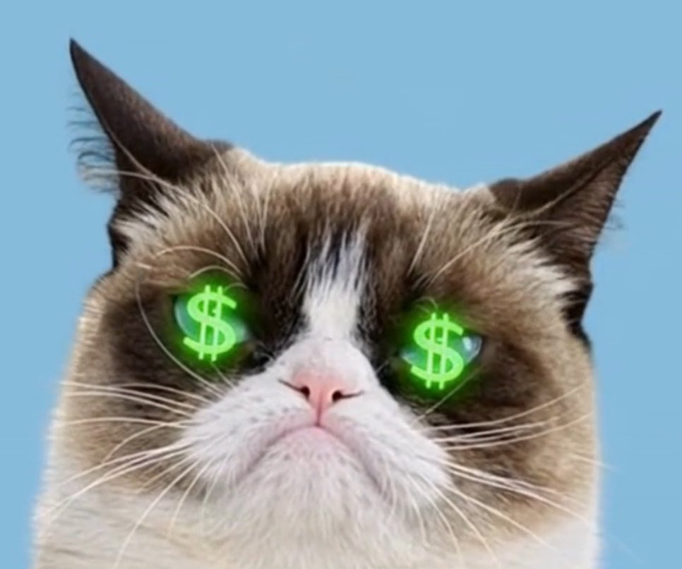 We sending it <a href="/RealGrumpyCat/">Grumpy Cat</a> ?