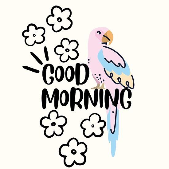 Gm CT💕

don’t forget to check out my pinned tweet and support me🥹