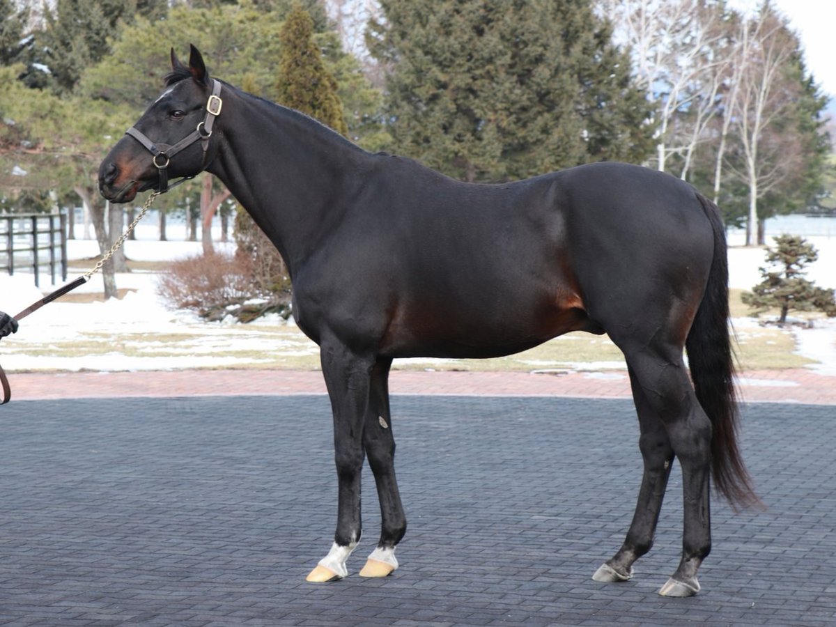 shigeki yusa tweet media