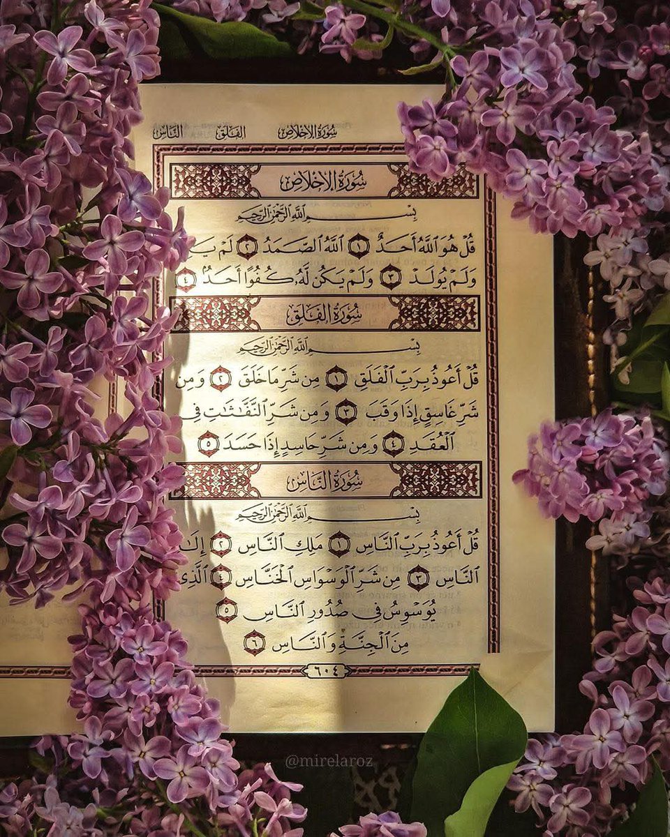 Keep reposting this and you will be rewarded for the readers! 🤍