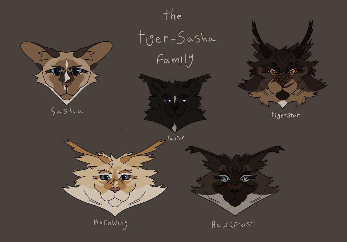 me when im in a wasted wasted opportunities competition and my opponents are the family members of Tigerstar