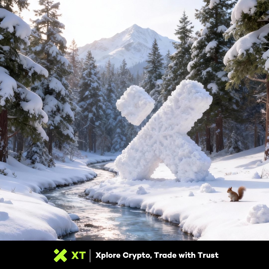 XT Africa tweet media