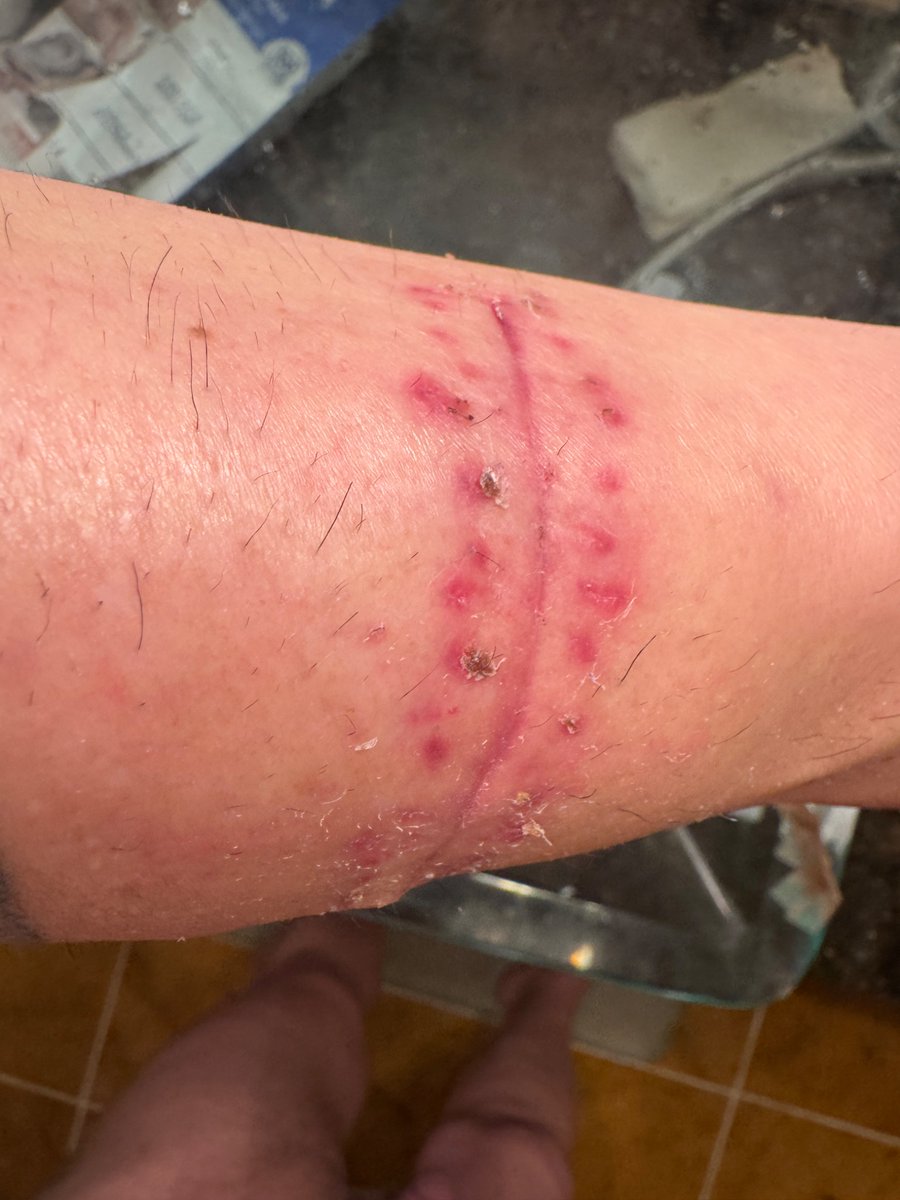 re:printed 3D tweet media