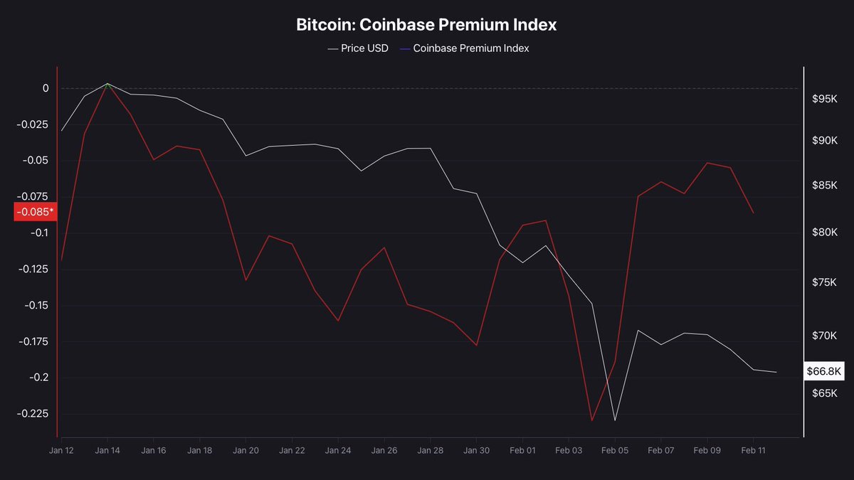 Nico || Cryptoc1N tweet media