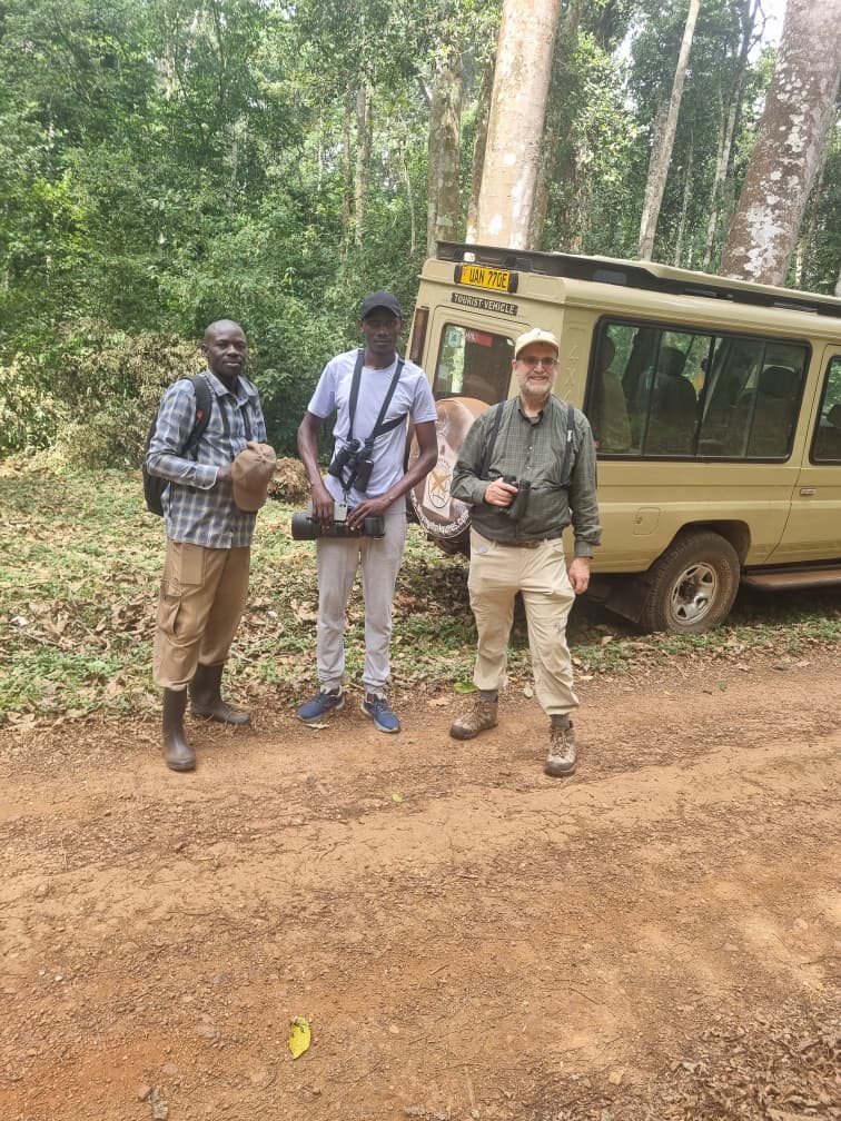 VoyageBalquees's tweet photo. The Royal Mile in Budongo Forest is widely regarded as one of Uganda’s best bird-watching spots, drawing birders from around the world to its lush lowland canopy and rich forest trails.
#Birdinguganda https://t.co/nfbKCJw1NB