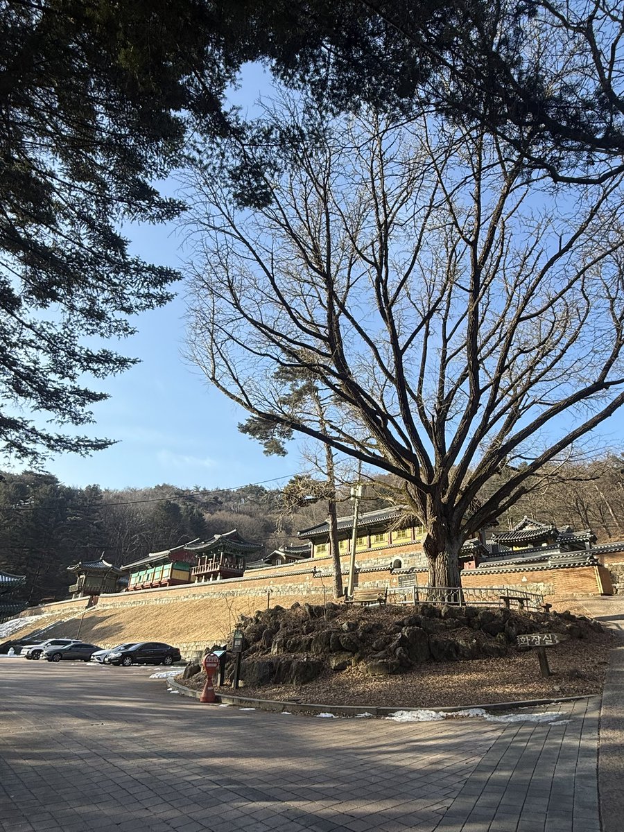 4월 이야기 tweet media