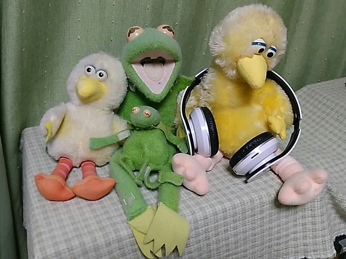 なのであげときます正解を。
45年くらい一緒にいるカーミットとビッグバード。
#まちゃお765