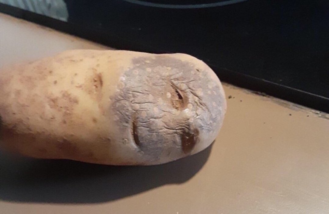 Çay içmediğim zaman... ☺️
Günaydın, mutlu sabahlar...