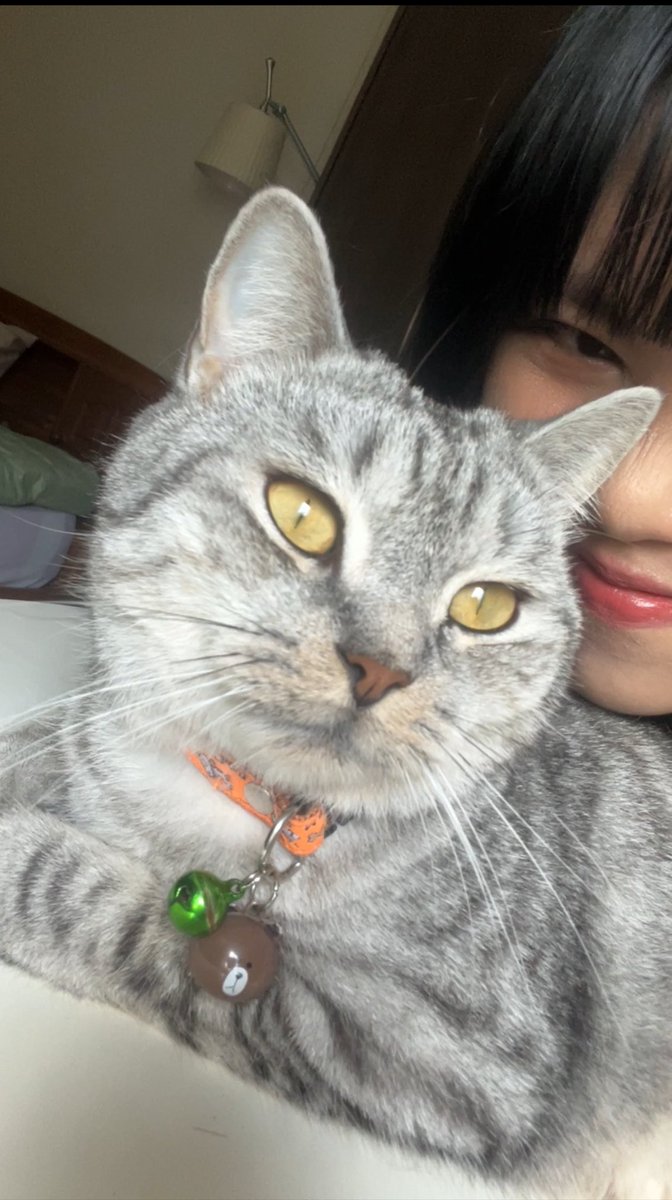 ฟ้าฟ้า tweet media