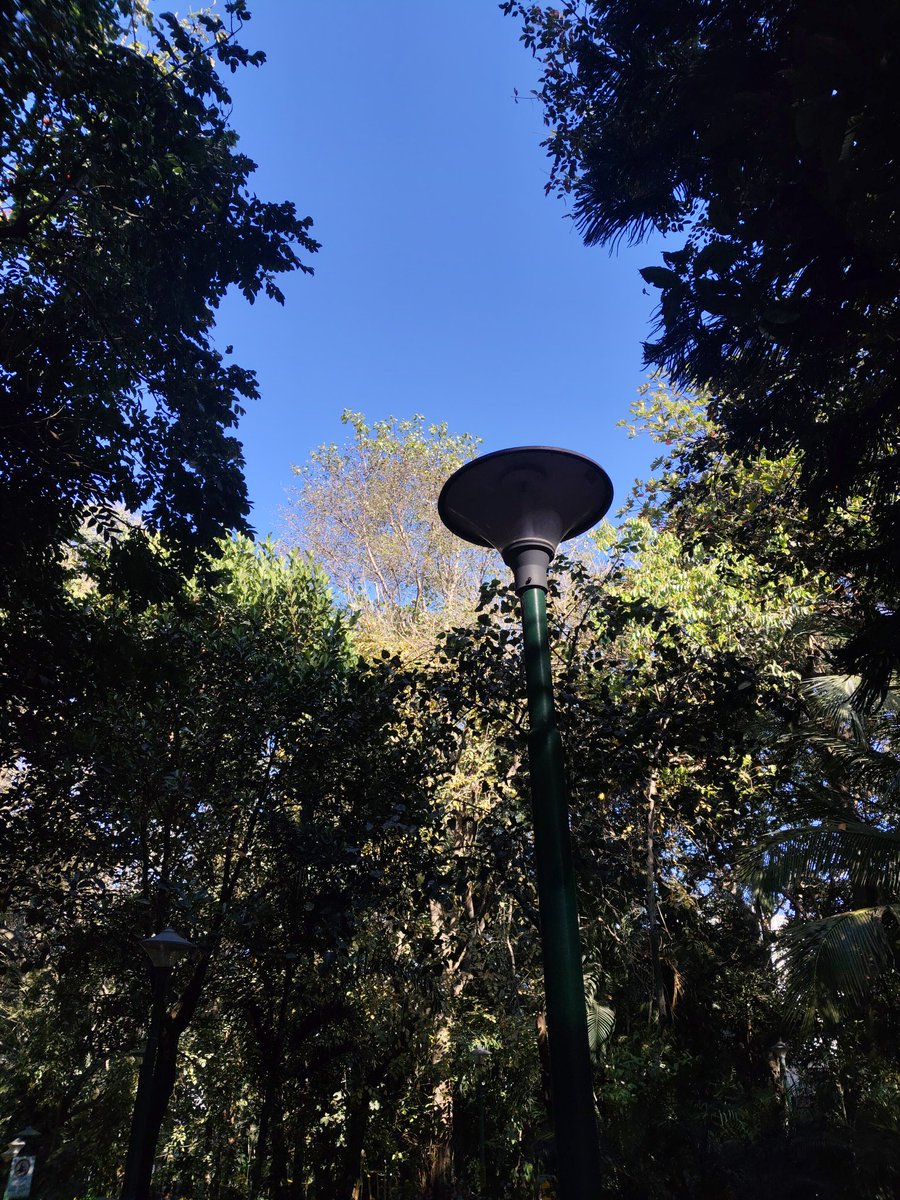jugaadcode55724's tweet photo. Day 3 of having a morning routine that's going to keep me sane https://t.co/ORcm48pgxO