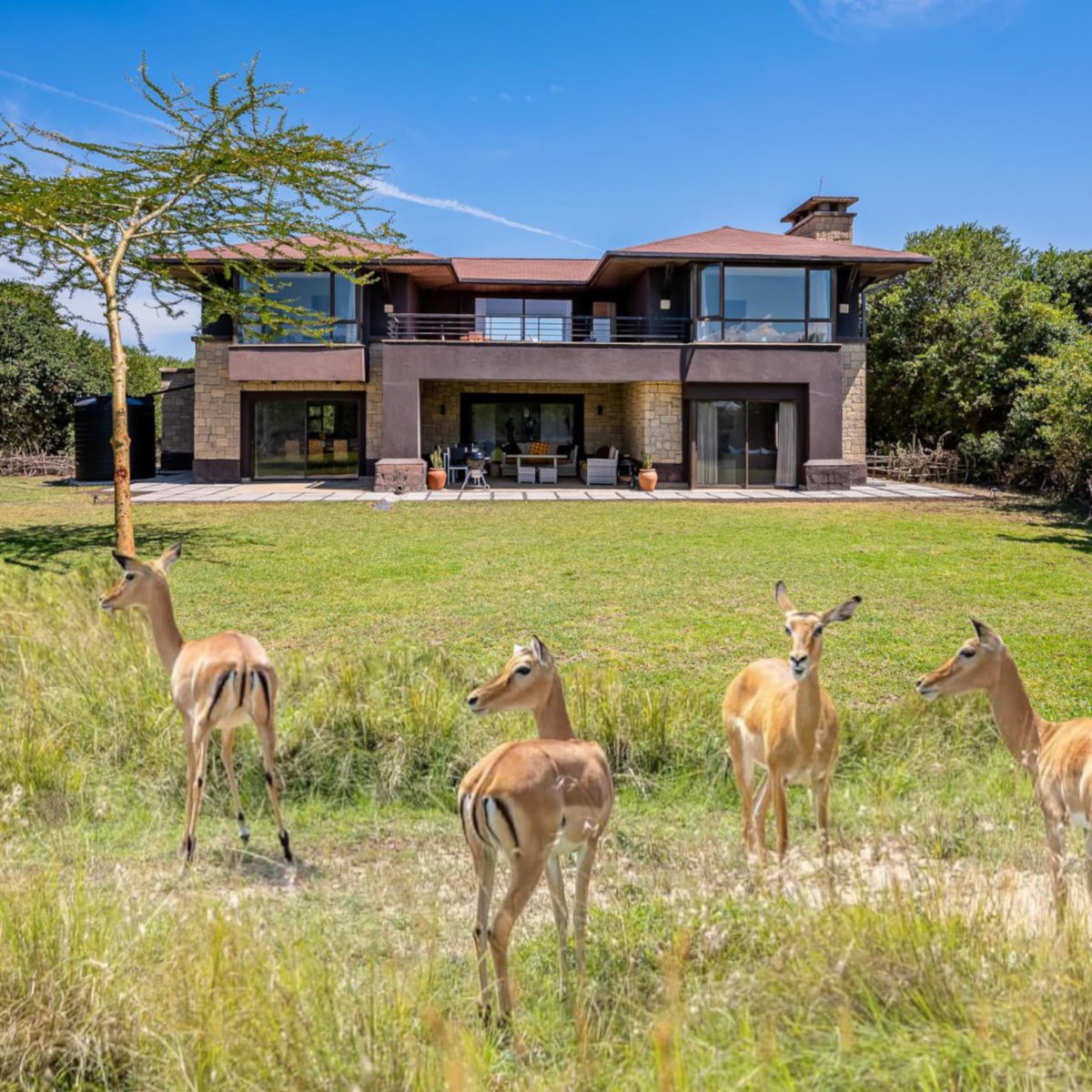 PerfectSafariz tweet picture