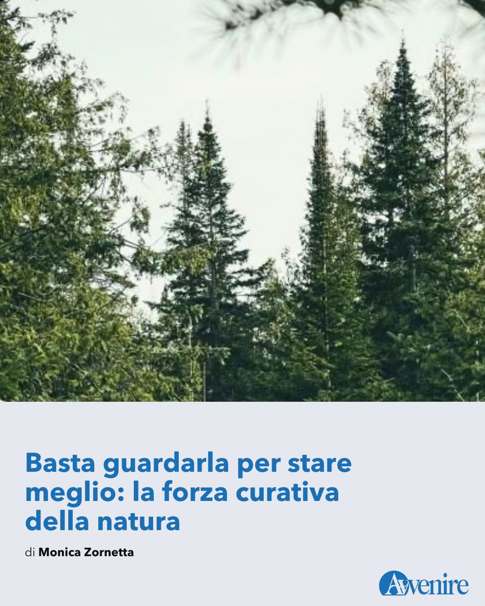 Avvenire_Nei's tweet photo. Anche pochi secondi di contatto visivo con la natura migliorano concentrazione, riducono lo stress e diminuiscono gli errori. Integrare il verde in scuole, case e città, secondo i principi del design biofilico, può rendere le comunità più sane e persino ridurre la spesa sanitaria 
https://t.co/DhYFDt0wmZ